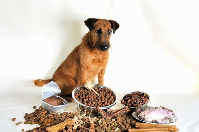 Bezorgdiensten En Kosten Van Rauw Hondenvoer